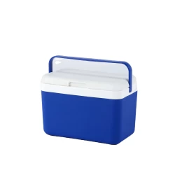 Set of 5 Insulated Cooler Box and Water Bottles – Keep Your Drinks Cold Anywhere!